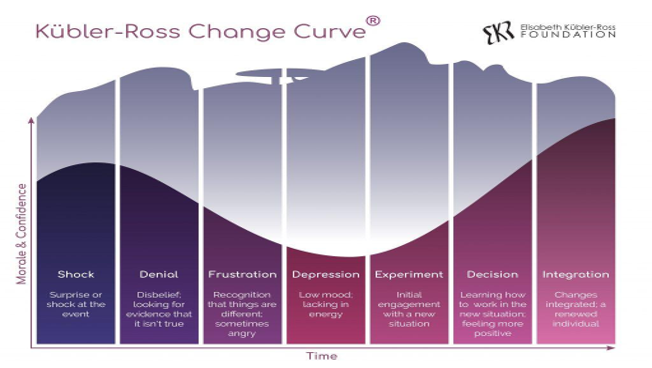 self awareness curve